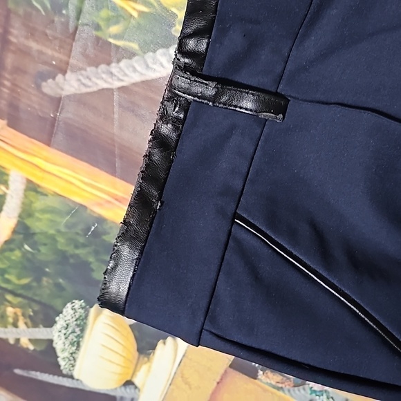 Ann Taylor Pleated Dress Pants Size 4 NWT - Picture 3 of 6